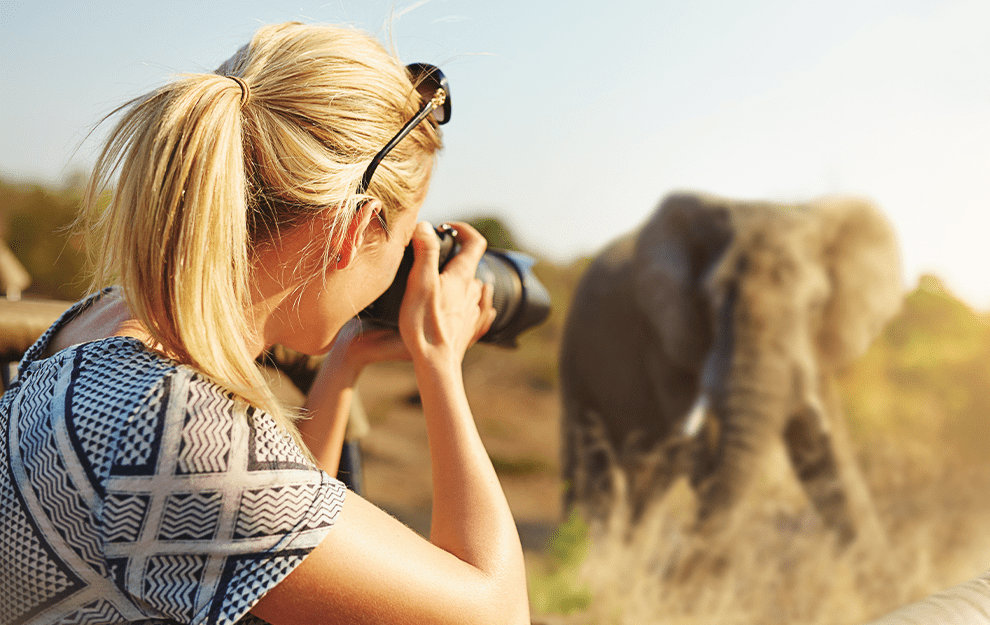 A woman photographing a wild elephant in nature.