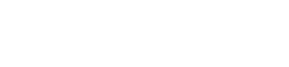 Logo with the acronym IDS in bold white letters on a transparent background.